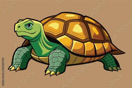 Colorful cartoon turtle with detailed shell design on a simple background