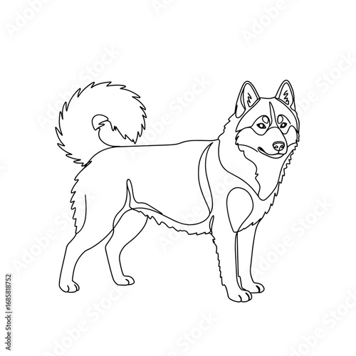 Husky dog coloring page. Standing siberian breed in profile for pet education and printable worksheets