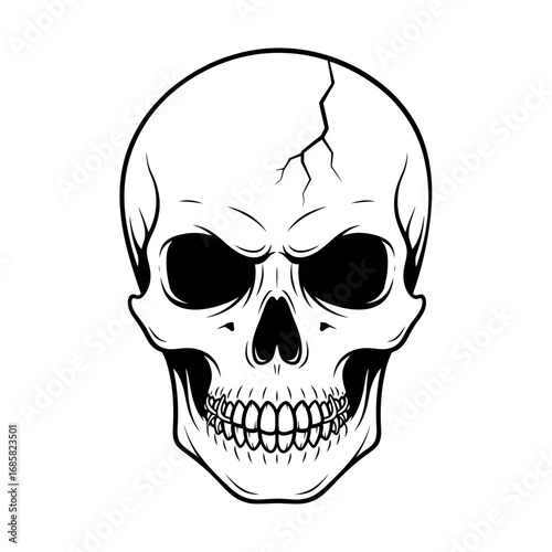 Vector art of skull illustration, representing human anatomy, death, and the macabre, suitable for medical and halloween themes