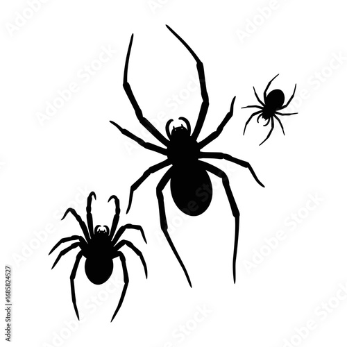 Spooky Creatures Spiders Silhouette Vector Illustration