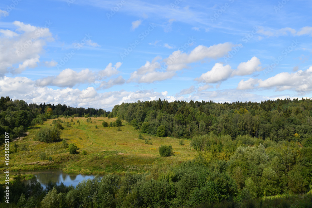 Obraz premium Summer landscape with forest of deciduous and coniferous trees. Russia