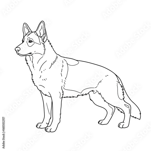 German Shepherd dog breed outline. Educational printable coloring asset for breed study worksheets