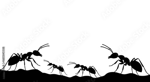Silhouettes of two large ants and two smaller ants interacting on a dark textured surface against a white background
