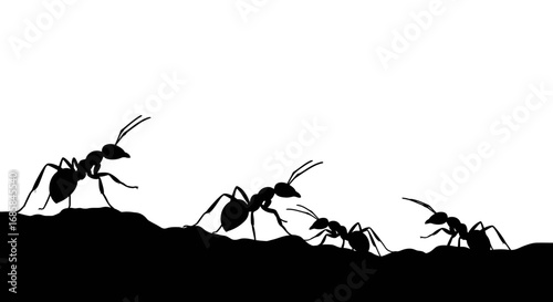 Silhouettes of ants marching in a line across a dark textured surface against a bright white background symbolizing teamwork and industry