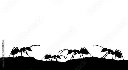 Silhouette of a group of ants gathered together on a dark surface against a stark white background symbolizing teamwork and community