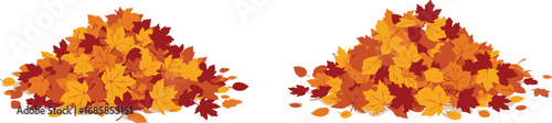 two piles of colorful autumn leaves neatly arranged