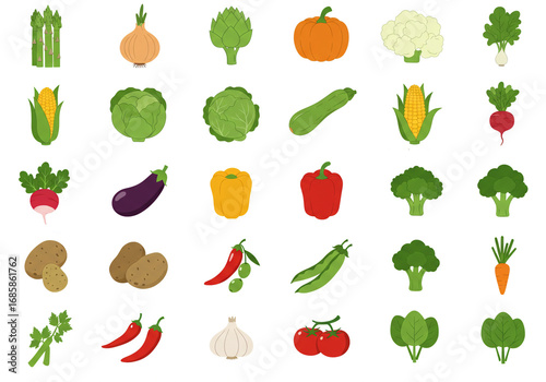 Vibrant collection of fresh vegetables for healthy eating and culinary inspiration