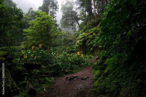 archipel, îles des açores, portugal