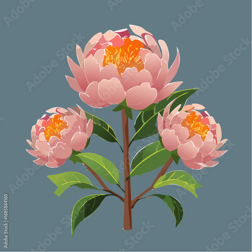 elegant arrangement of pastel pink peonies with soft layered petals subtle gradients and green foliage