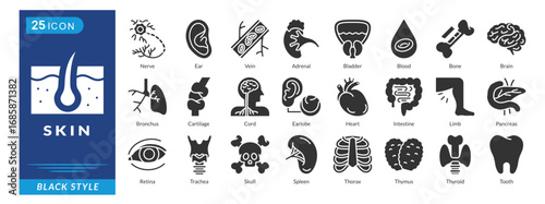 Skin icon set in black style, featuring Nerve, Ear, Vein, Adrenal, Bladder, Blood, Bone, Brain, Bronchus, and Cartilage.