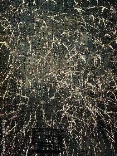Fireworks exploding into the night sky 