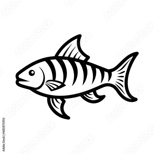 Goliath Tigerfish Outline on White Background