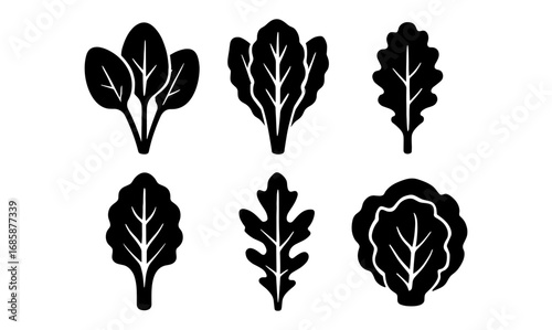 Set of leafy greens icons: spinach, kale, lettuce and more in black silhouette style