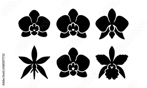 Minimalistic silhouette orchids collection: black orchid flower set