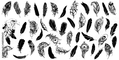 Feather Collection: A collection of intricately illustrated black feathers, each with its own unique form, creating a visually striking display of natural elegance and artistic detail.