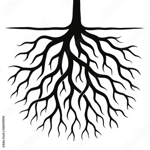 Black silhouette tree roots system illustration, showing an intricate branching underground network. A powerful symbol of natural stability, deep growth, foundational strength, and essential plant lif