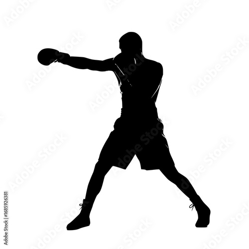 Professional Boxer Training for Ultimate Performance and Strategic Combat