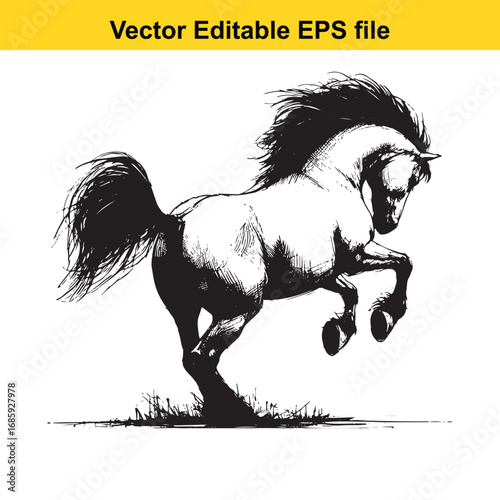 Powerful black ink sketch of a rearing horse isolated on white background