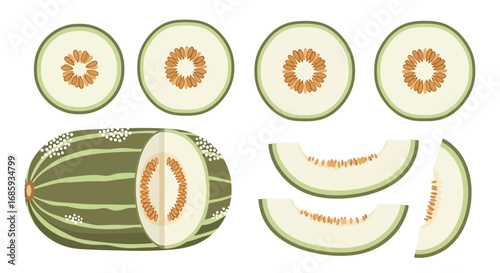Delicate Muskmelon Slices: A fresh and visually appealing composition of cut