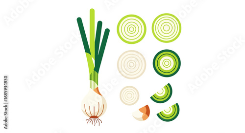 Stylized spring onion vegetable with circular cross-sections of varied colors