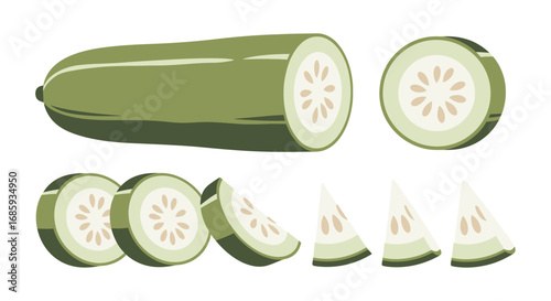 Illustration of sliced winter melon featuring various cuts and arrangements