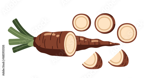 Illustration representing a cassava root, sliced and whole, against white