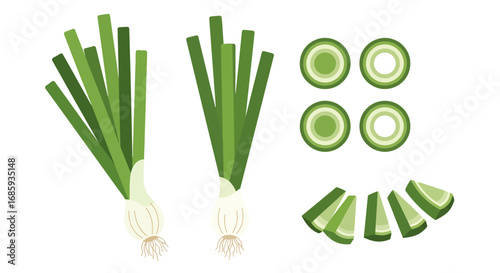 Isolated spring onions, showing fresh culinary herb for recipes and seasoning