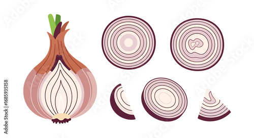 Stylized red onion illustration presenting culinary ingredient composition