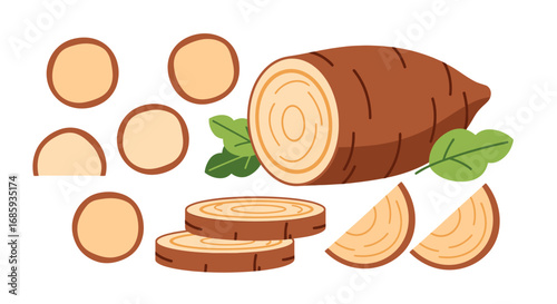 Artistic illustration displaying a fresh cassava root alongside cut slices and