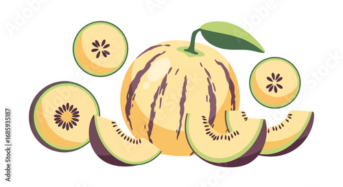 Stylized honeydew melon illustration, featuring slices and a whole melon