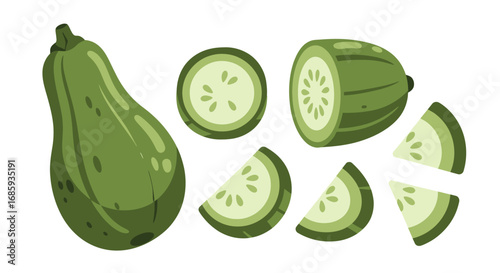 Fresh Green Zucchini Still Life Illustration with Sliced Vegetable Parts
