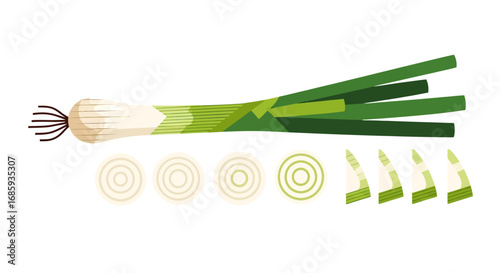 Fresh scallion vegetable artistic representation with sliced sections isolated