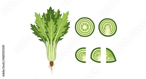 Stylized mizuna vegetable illustration featuring whole and sliced depictions