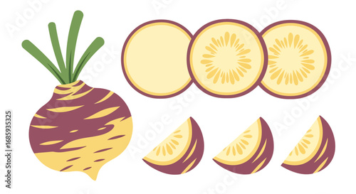 Stylized presentation of turnips showcasing whole and sliced sections neatly