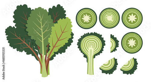 A visual array of fresh chard and cross sections, ideal for recipe illustration
