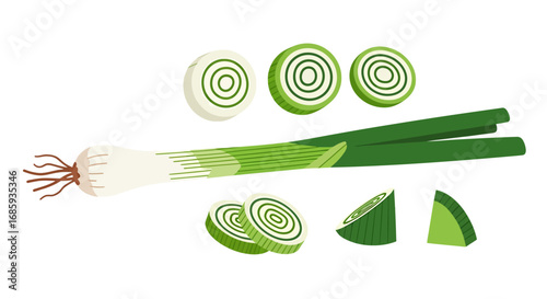 Vibrant spring onions with concentric rings in stylized vegetable arrangement