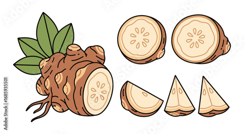 Jerusalem artichoke arrangement showcasing whole sliced and wedges shapes on