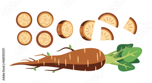 Stylized depiction of whole and sliced turnip showcasing distinct cross-sections