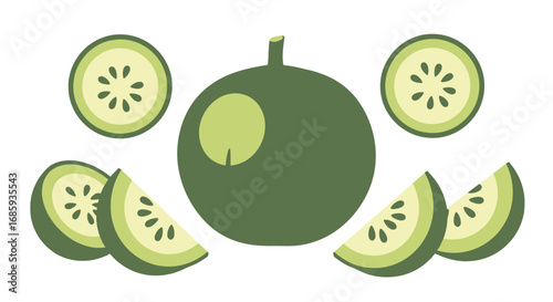 Stylized green melon arrangement showcasing whole, sliced and cross sections