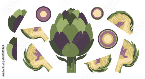 Artichoke vector composition for culinary projects and healthy eating promotion