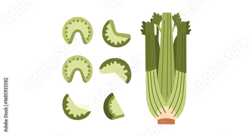 Stylized flat vector illustration of celery stalks and sliced pieces with