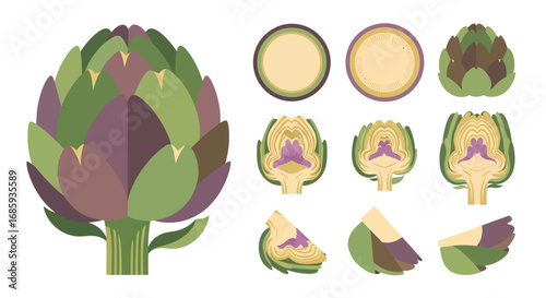 Botanical illustration featuring diverse artichoke preparation and presentation
