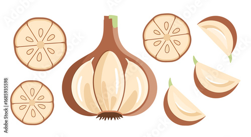 Stylized garlic bulb and slices illustration on a white background scene