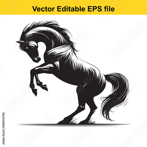 Powerful rearing black horse isolated on white background, vector illustration