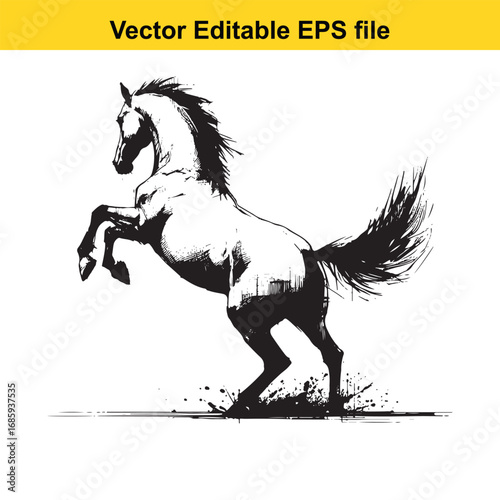 Powerful black and white illustration of a rearing horse isolated on white background