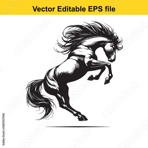 Powerful black stallion rearing up, isolated on white background