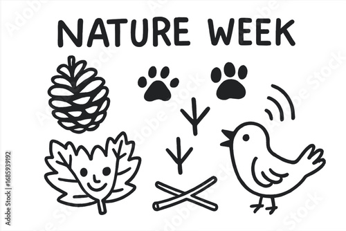 Preschool Nature Doodles. Preschooler nature week doodle set: hand drawn icons for pine cones, animal tracks, leaf crafts, and