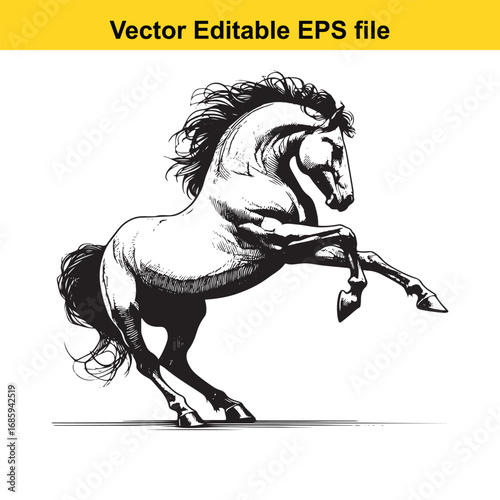 Powerful rearing horse illustration isolated on white background
