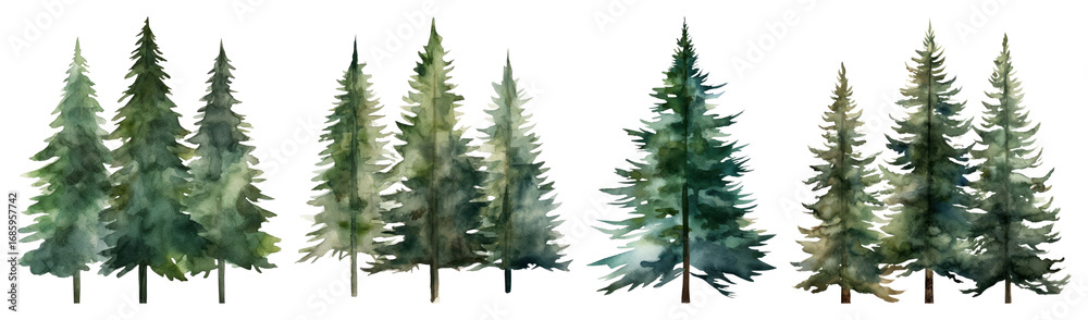Obraz premium Watercolor evergreen trees forest