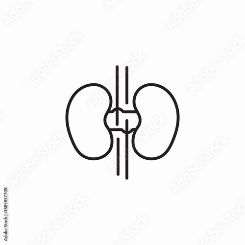 kidney organs icon sign vector